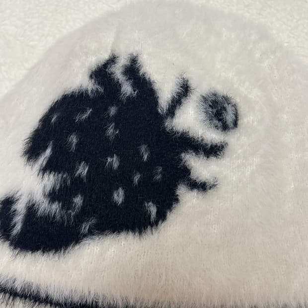 비디오자키 비니