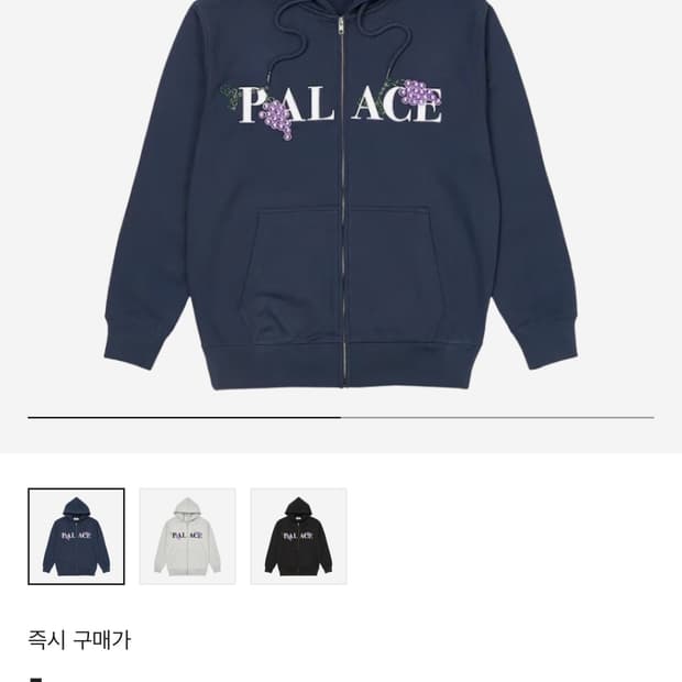 팔라스 22fw 그레이프 후드 집업