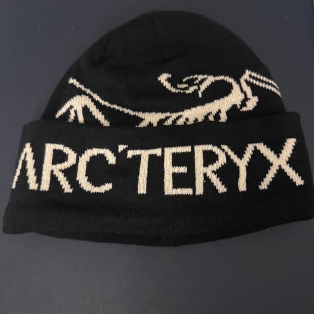 아크테릭스 비니