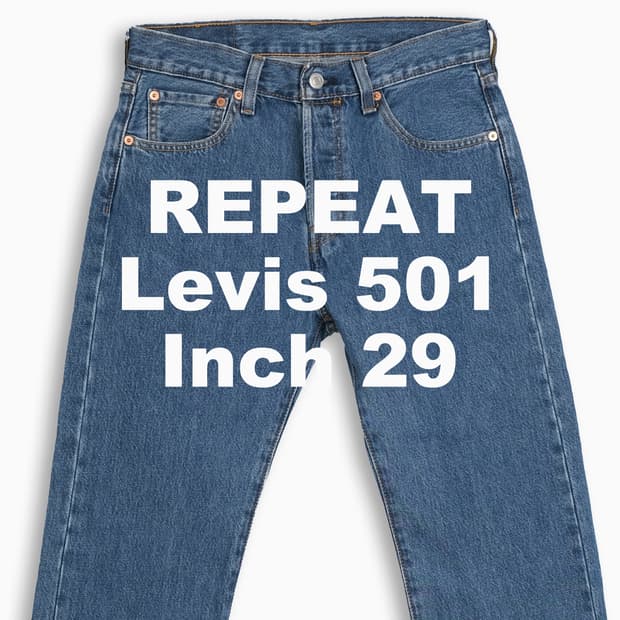 빈티지 리바이스 501 중청 29 인치 LV50129105