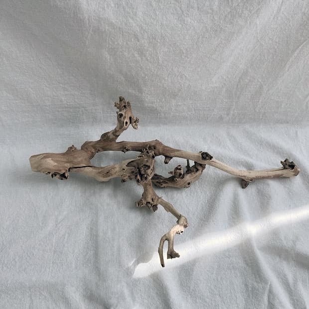 wood object 039