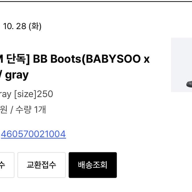 덴 비비부츠 250 새상품