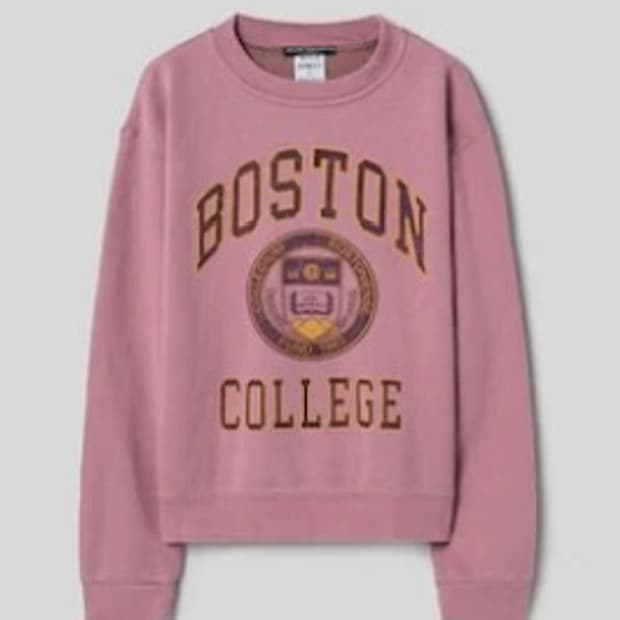 Wild Donkey 와일드동키 보스턴 맨투맨 M 핑크