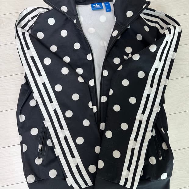 아디다스 땡땡이 직업