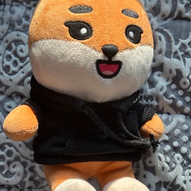 데이식스 영케이 유스콘 유스 앙콘 데니멀즈 인형 대왕케 양도 판매