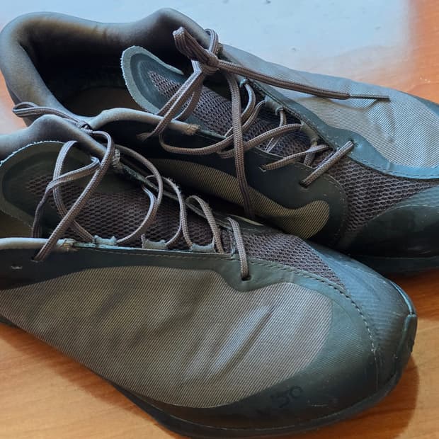 파프 온러닝 코코아 270