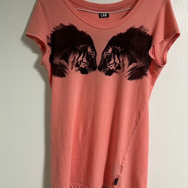 Lgb fireworks t shirt