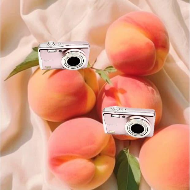 원희 디카&딸기우유!) FujiFilm Finepix F80 카메라