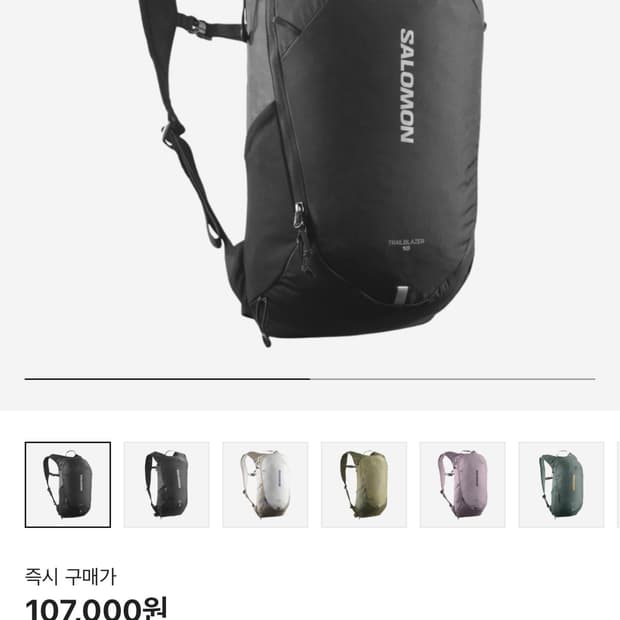 살로몬 백팩