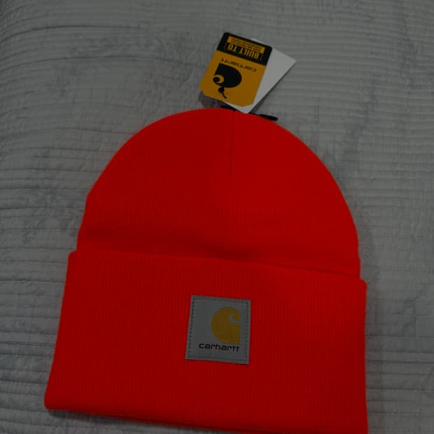 Carhartt 비니
