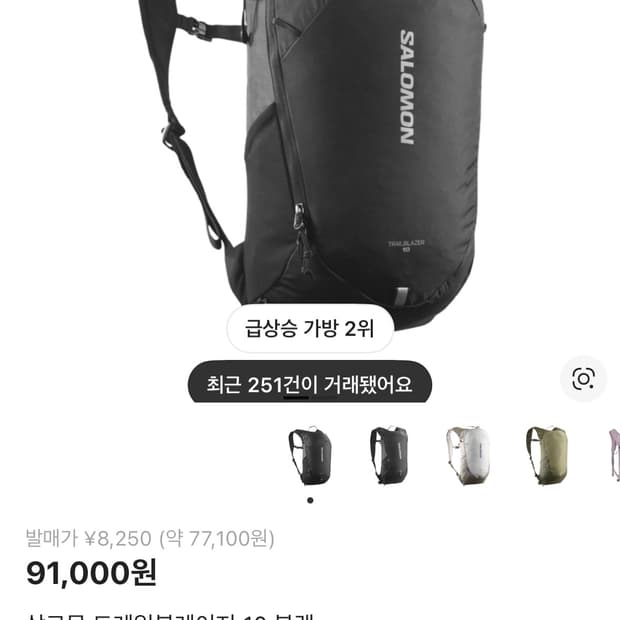 살로몬 가방 