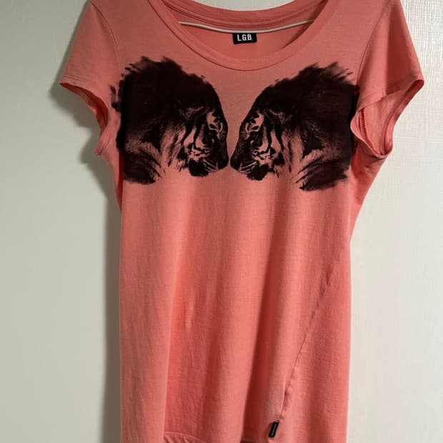 LGB fire works shirt