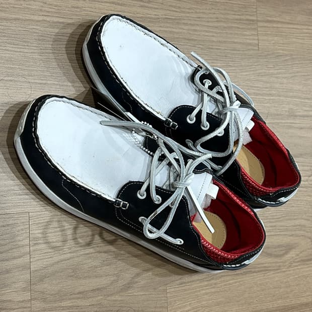 비즈빔 호크니 스펙테이터