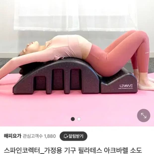 스파인코렉터 필라테스소도구 바로폼