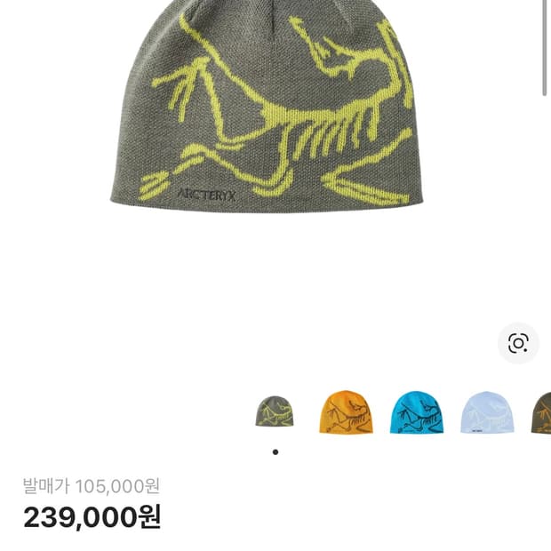 아크테릭스 버드 헤드 토크 그레이 