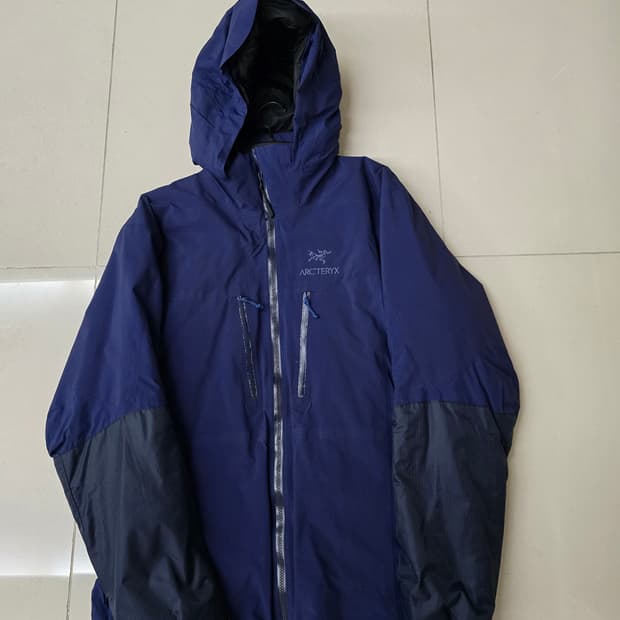 아크테릭스 피션 sv L