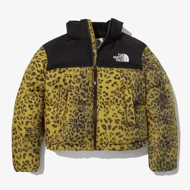 노스페이스 노벨티 눕시 S 정품