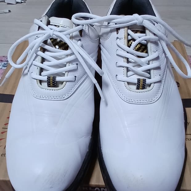 풋조이 골프화(265mm) 