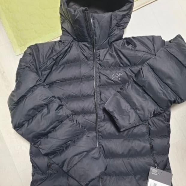 아크테릭스 토륨 후디L