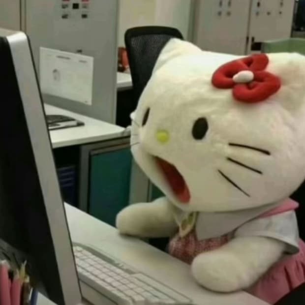 내일이면 세일이 끝나용 👼🏻