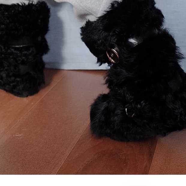 프레클 퍼부츠 구해요 