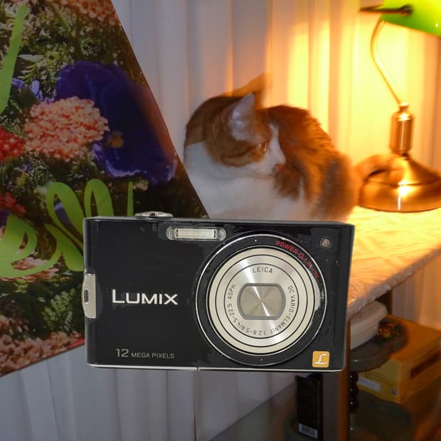 희귀매물 루믹스 DMC-FX65 작례O