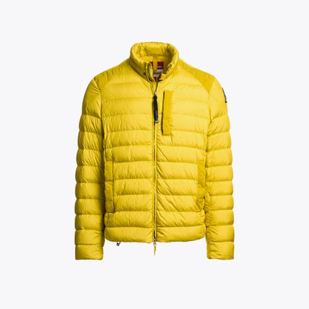 구매) 파라점퍼스 윌프레드 옐로우 M