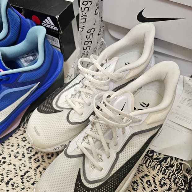 나이키 줌플라이 6 260!