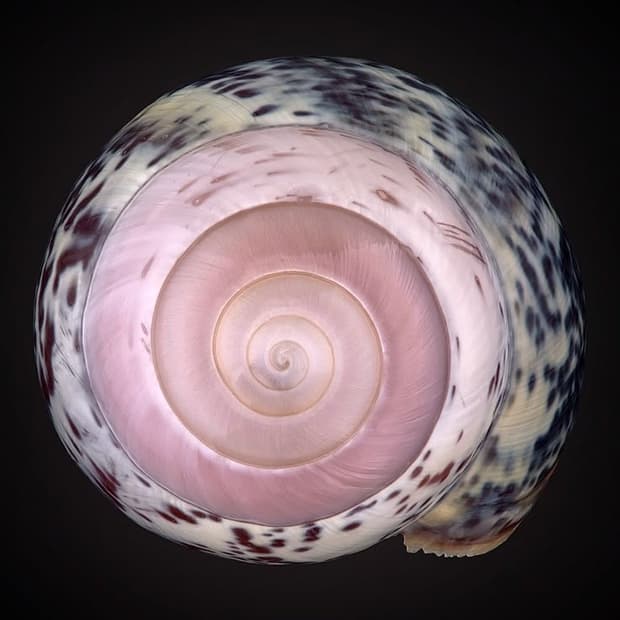 카결창