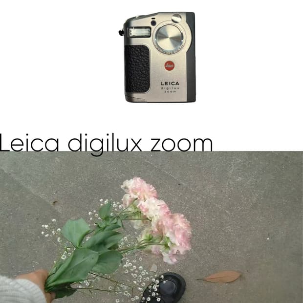 Leica digilux zoom