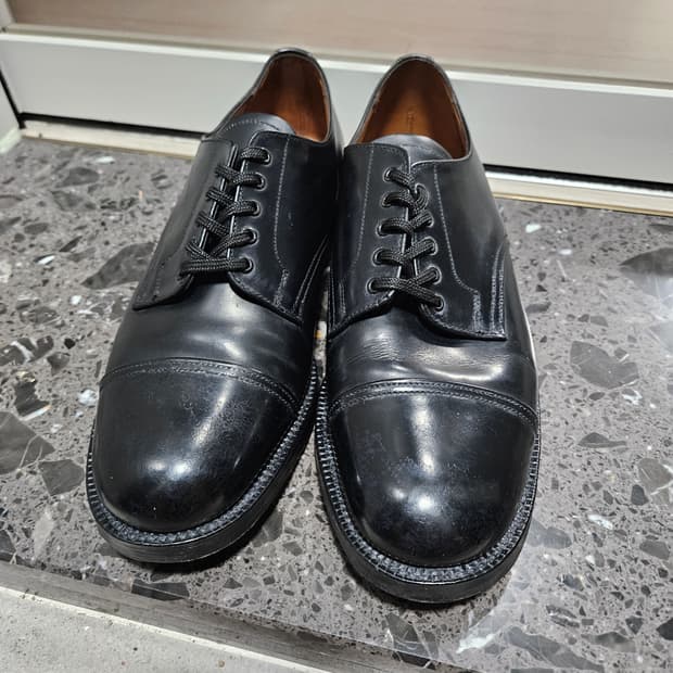 샌더스 밀리터리 더비 260