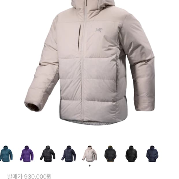 아크테릭스 토륨 sv 웜스톤 L사이즈