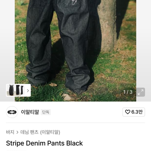 ertr 스트라이프 팬츠 