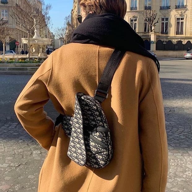 dior saddle bag