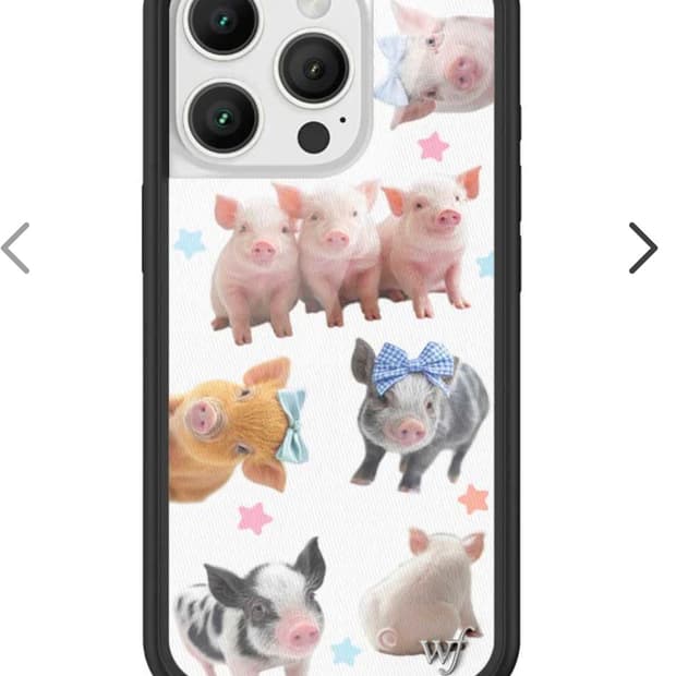 와일드플라워 아이폰16 프로 돼지 케이스