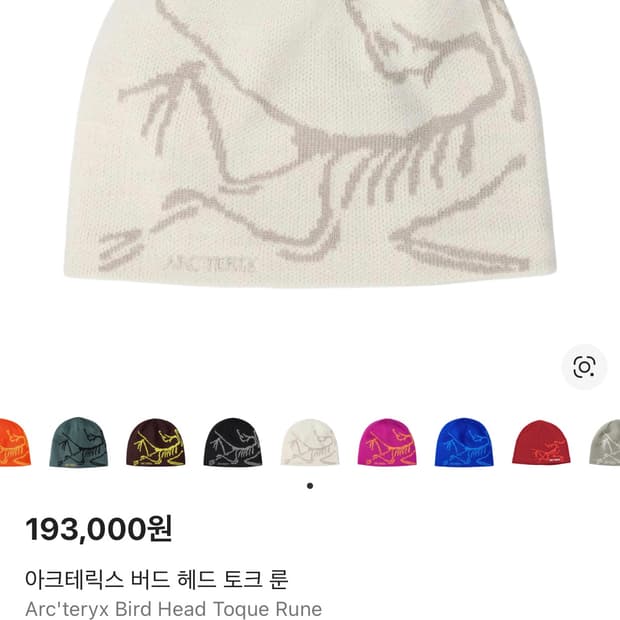 아크테릭스 버드헤드토크 룬 비니