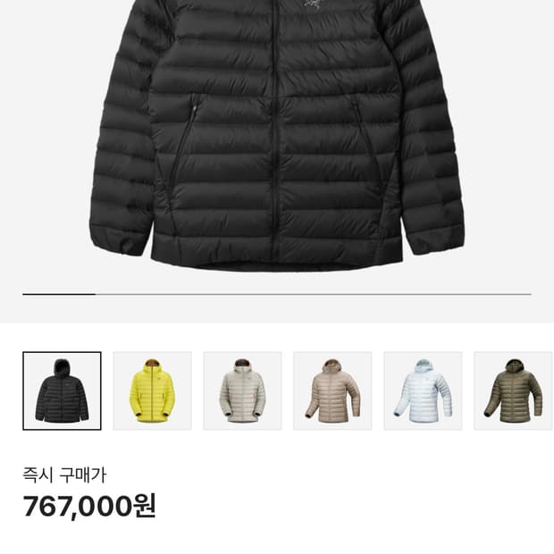 아크테릭스 세륨 후디 블랙 m