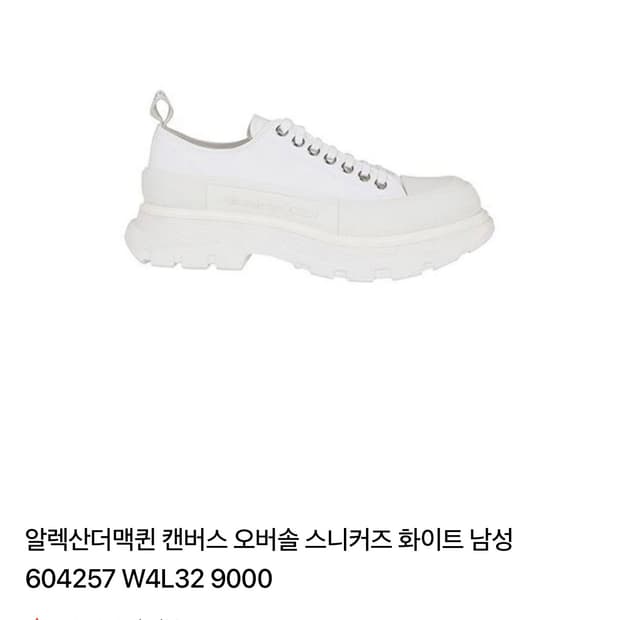 알렉산더 맥퀸 오버솔 캔버스