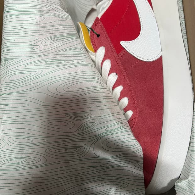 나이키 브루인 리엑트 260