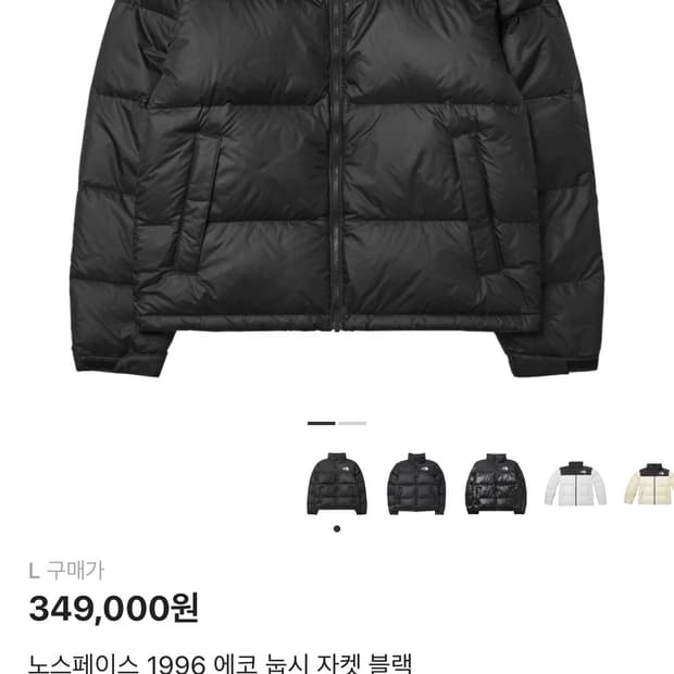 노스페이스 1996 에코 눕시 패딩