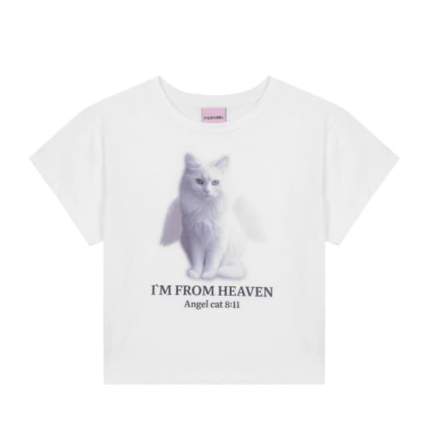 잇자바이브 엔젤 캣 티셔츠