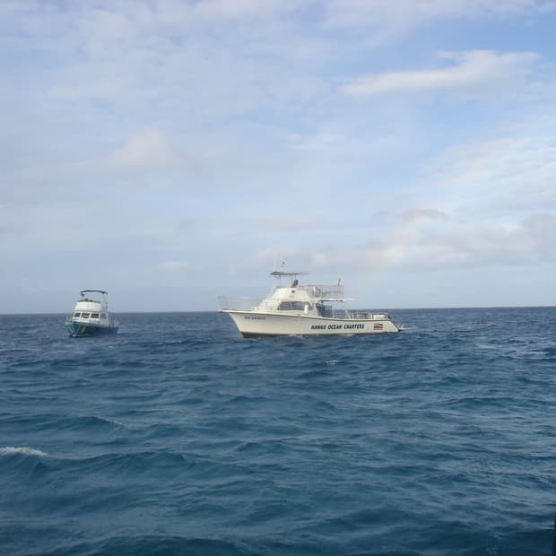 소니 사이버샷 디카 DSC-W1