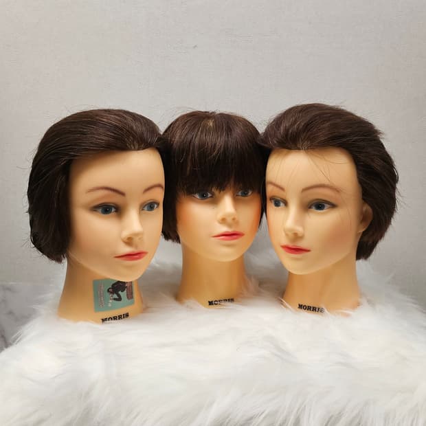 모리스 통가발 남성컷 연습용 포트폴리오 촬영용