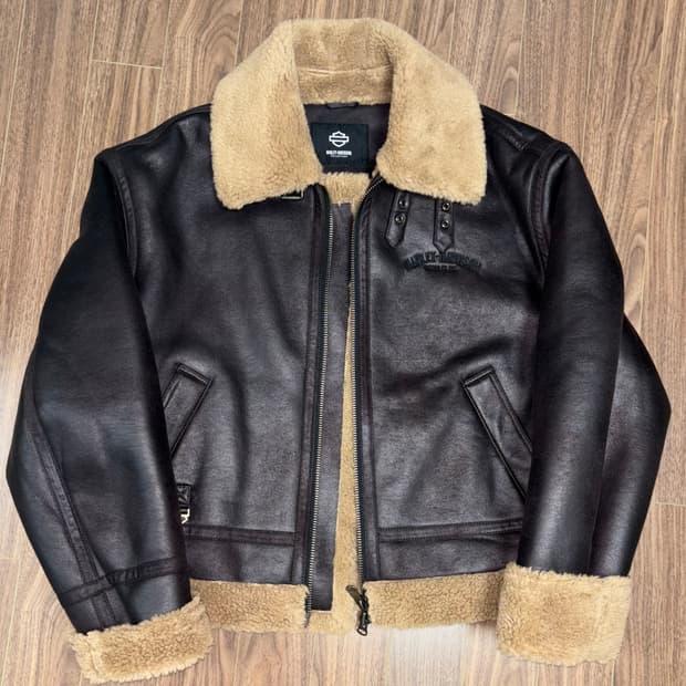 할리데이비슨 무스탕 브라운