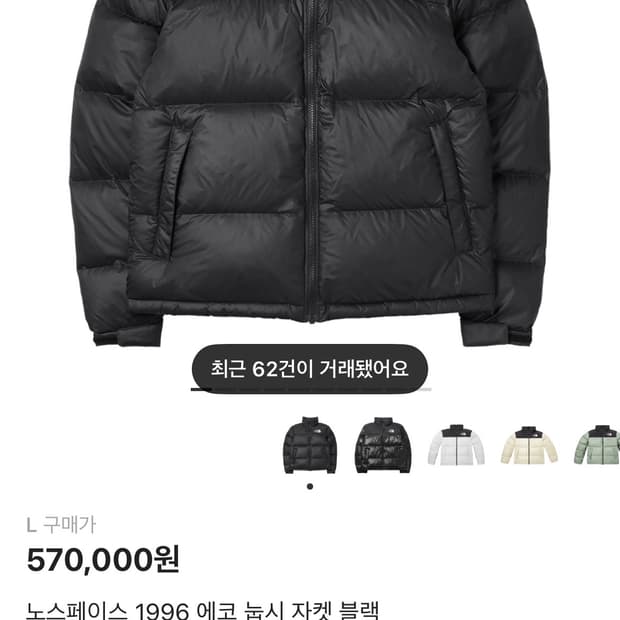 노스페이스 에코눕시 L