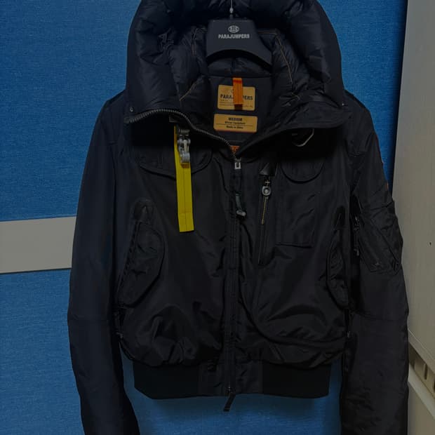 파라점퍼스 고비 마스터피스