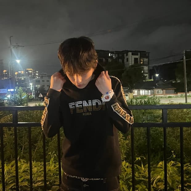 Fendi roma 후드티