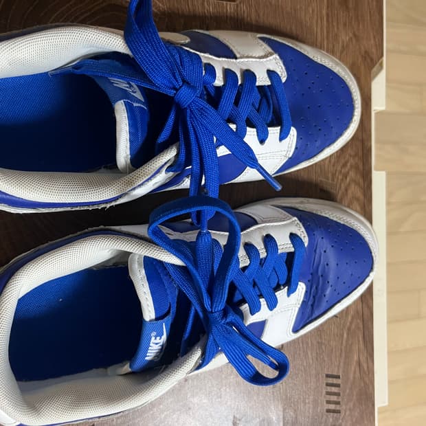 나이키 덩크로우 흰/파 260사이즈 급쳐