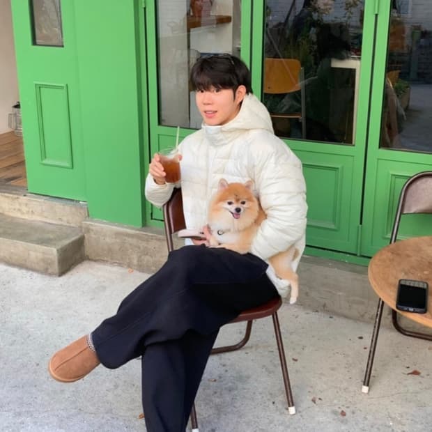 어그 타스만 280