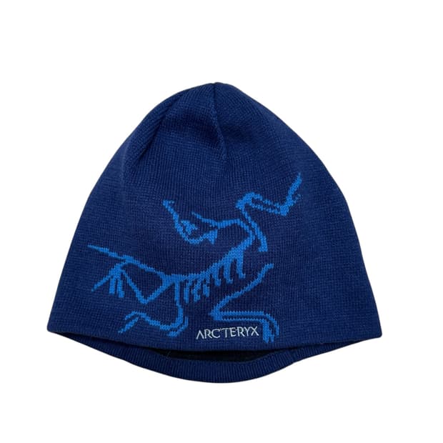 아크테릭스 버드 헤드 토크 비니